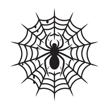  Spider silhouette on web with detailed strands and drops, black vector illustration isolated on white background