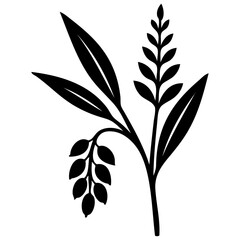 Plant branch with elongated leaves, vertical sprig of seeds or grains, and a hanging cluster of berries or fruits. Suitable for logos, stickers, and projects related to natural products, organic food.