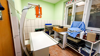 Sterile veterinary clinic, purring feline tranquility, humane healing vibes, World Veterinary Day...