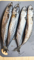 Glistening mackerel quartet on moody cutting board, echoing ancient Celtic harvest festivals, coastal culinary rituals, omega-rich bounty