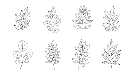 Collection of delicate botanical line drawings with subtle watercolor washes silhouette