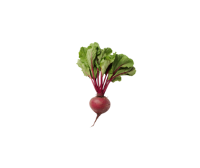 Fresh Beetroot Juice and Detox Water with Mint, Turmeric, and Ingredients in Glass and Jug – HD Photorealistic Beverage on White Background
