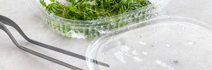 Glistening droplets on a plastic herb container, evoking freshness and culinary wizardry, perfect for National Fresh Breath Day