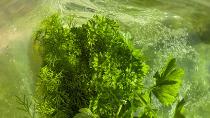 Fresh parsley and dill submerged in effervescent water, evoking ancient Mediterranean harvest rituals and vibrant summer solstice cocktails