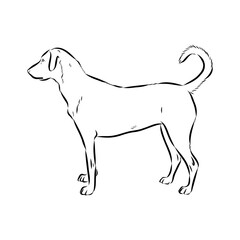 concrete mixer construction, vector sketch