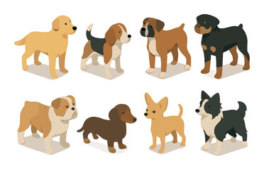Diverse dog breeds: playful beagle, sturdy boxer, loyal rottweiler, friendly dachshund, adorable chihuahua, faithful border collie