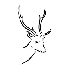 Naklejka premium Axis the deer, vector sketch