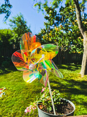 A rainbow-colored pinwheel stands in a flowerpot in a backyard garden.