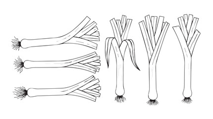 Fresh asparagus bundles and spring onion grouping for culinary photography and food content silhouette
