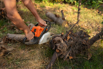 Individual uses a chainsaw to cut a log in a forest setting. Sunlight filters through the trees, highlighting the effort in maintaining the wood.
