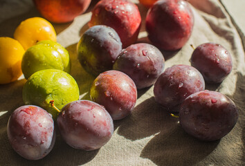 Ripe, Bright Peaches and Plums on the Table