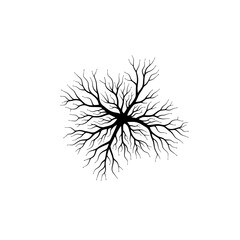 Black tree branches silhouette isolated on white background