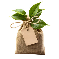 Eco-friendly Natural Craft Bag with Blank Label - Sustainable Packaging Design