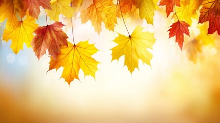 Falling autumn maple leaves abstract background with red, orange, and yellow foliage in golden light, natural seasonal texture and tranquil design concept.