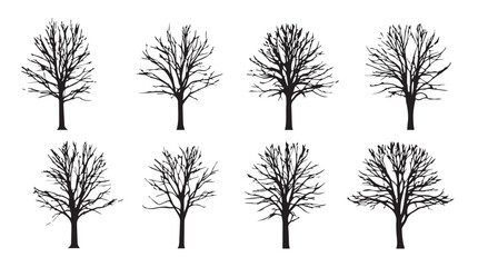 Obraz premium Collection of eight bare winter trees with intricate branching structures for natural design silhouette