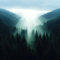 Mystic Forest Canopy: An ethereal landscape unfolds, sunlight dramatically pierces through the dense, towering pines, creating a breathtaking display of natural beauty and atmospheric wonder.