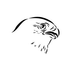 Asian falcon, vector sketch