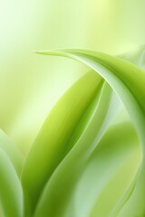 Delicate green leaves, subtly curved and overlapping, create a soft, ethereal backdrop.