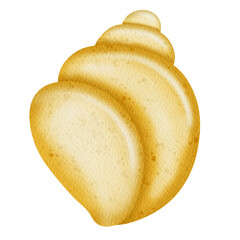 Watercolor Cute Shell. Under the sea.