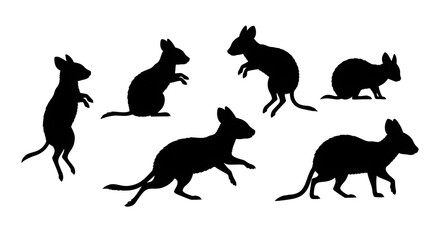 Silhouettes of quokkas isolated on white background in various positions