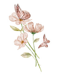 Watercolor pink pastel cosmos Flowers with Butterflies. Floral illustration with daisy and leaves. Botanical drawing for wedding greeting cards or invitations. Art with plants on isolated background