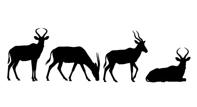 Silhouettes of four hartebeests in different poses isolated on white background