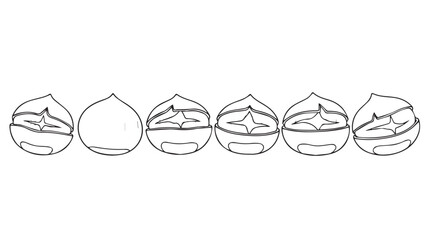 Line drawing of six whole chestnuts arranged in a row isolated on silhouette