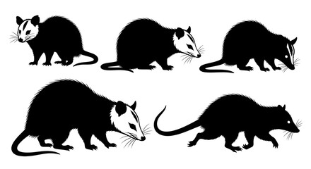 Silhouettes of opossums in various poses isolated on white background