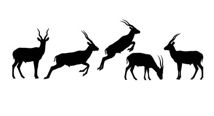 Naklejka premium Silhouettes of impalas in various poses isolated on white background