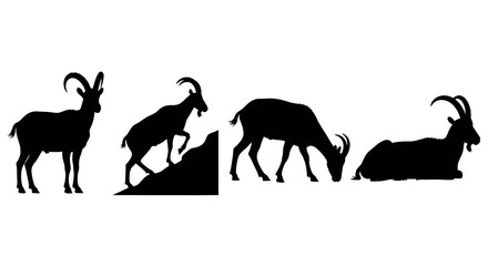 Silhouette of four goats in various poses isolated on white background