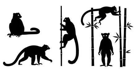 Obraz premium Silhouetted lemurs isolated on white background, showcasing their unique features