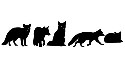 Silhouette of five foxes in various poses isolated on white background