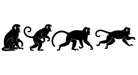 Obraz premium Four monkeys in different poses isolated on white background, black silhouettes