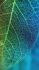 A close-up view of a leaf's intricate network of veins, showcasing a spectrum of vibrant teal and lime green hues.