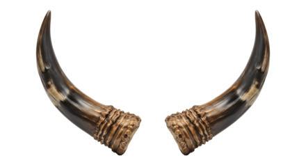 Close up of two curved animal horns isolated on white background