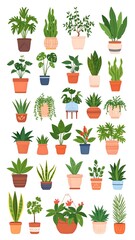Collection of potted plants in various styles