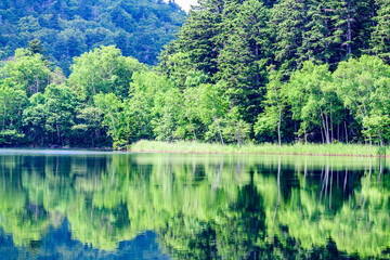 道東 静寂の湖オンネトー
