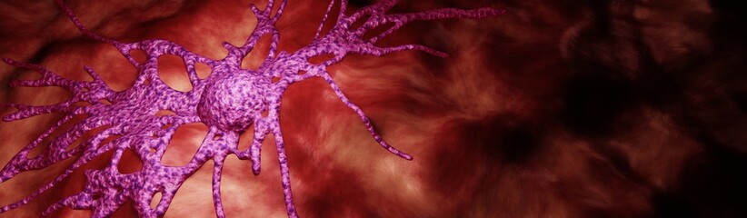 Abstract and Detailed Human Cancer Cell