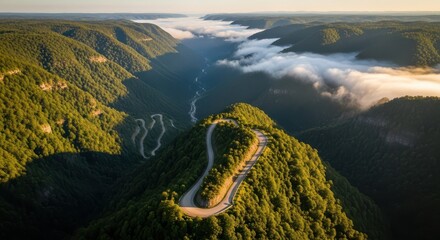 Scenic mountain valley road winding through lush green forest landscapes