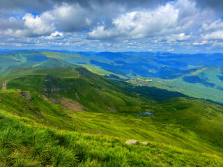 Fototapeta premium Amazing sunny landscape with pine tree highland forest at Carpathian mountains under blue sky.