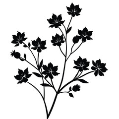  silhouette on white background