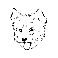 Beaver Yorkshire terrier, vector sketch