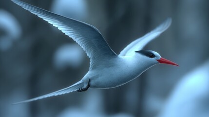 Fototapeta premium Majestic Bird in Flight with Graceful Wings and Vibrant Bill
