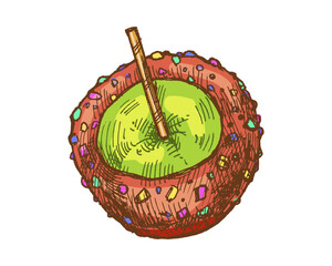 Hand drawn vintage sketch of caramel apple with colorful candy sprinkle coating and wooden stick in retro style