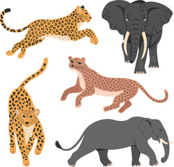 Leopard, Cheetah, Panther, Elephant vector on white background