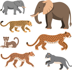 Leopard, Cheetah, Panther, Elephant vector on white background