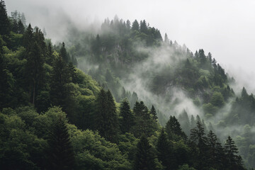 A forest scene during heavy rainfall, mist rising among the trees, wet leaves glistening, creating a mysterious and atmospheric environment.