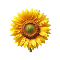 Obraz premium Striking close up image showcasing the vibrant beauty of a sunflower bloom