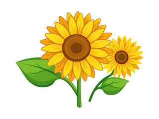 Bright and cheerful cartoon style sunflowers on a white background illustration