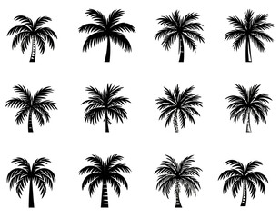 palm tree silhouettes, tropical